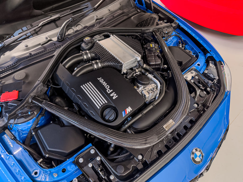 2021 BMW M2 CS (F87)